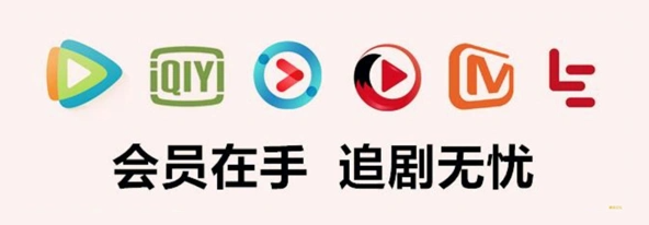 代理充值平台网站与VIP会员批发：虚拟权益卡券行业的深度掘金指南